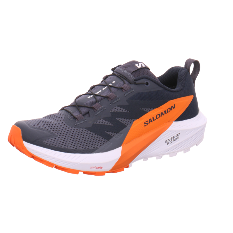 Salomon Sense Ride 5 GTX Men's Trail Running Shoes