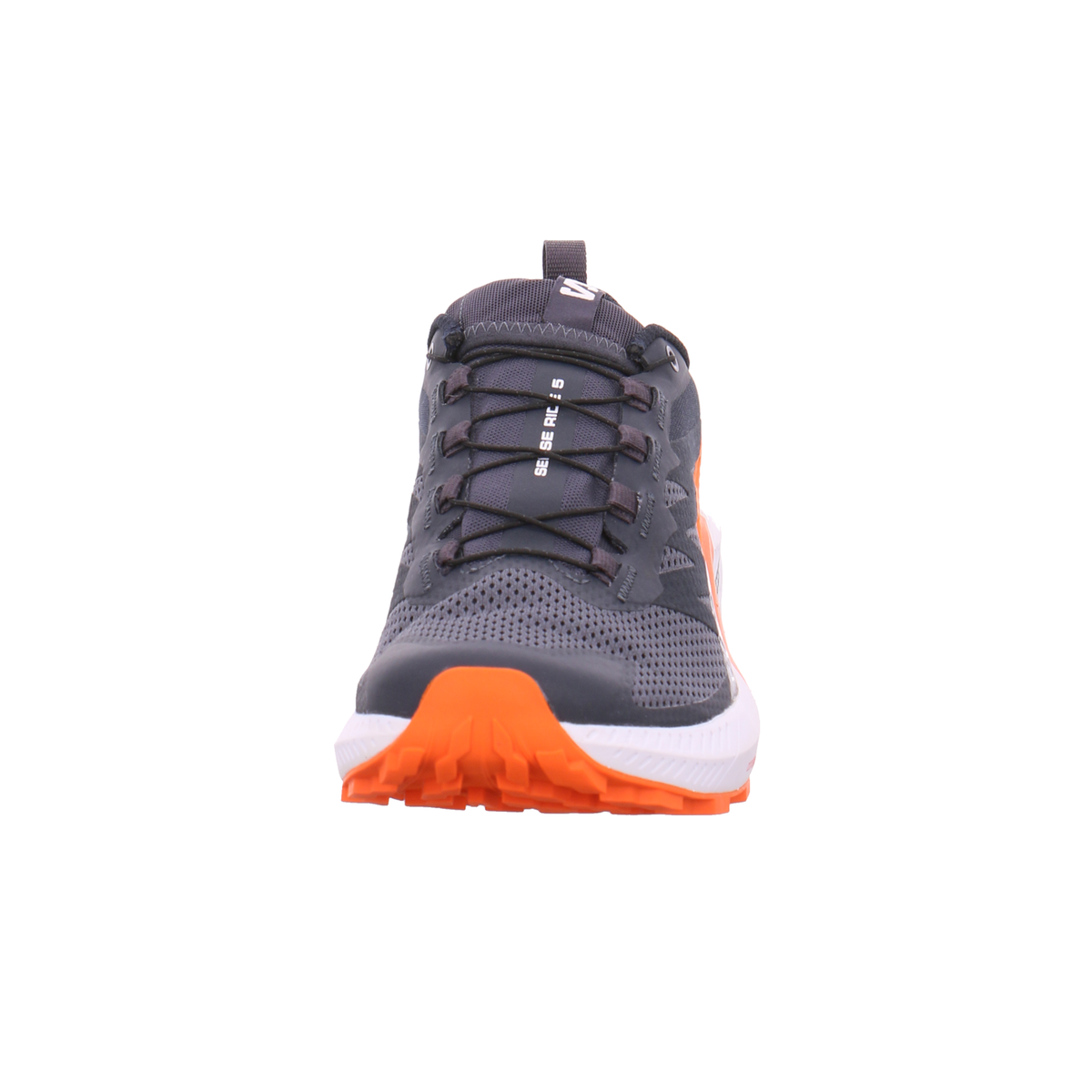 Salomon Sense Ride 5 GTX Men's Trail Running Shoes
