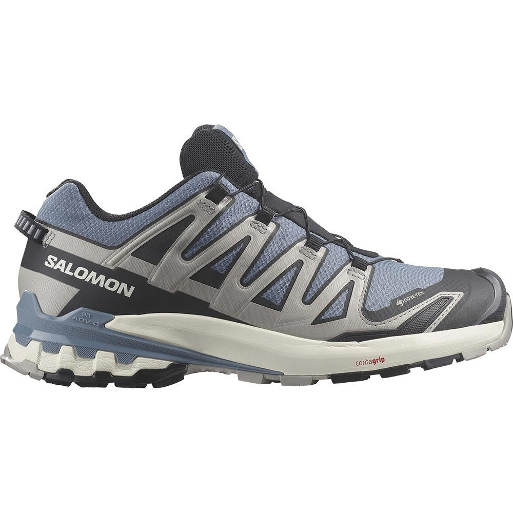 Salomon XA Pro 3D V9 GTX, Men's Running Shoes