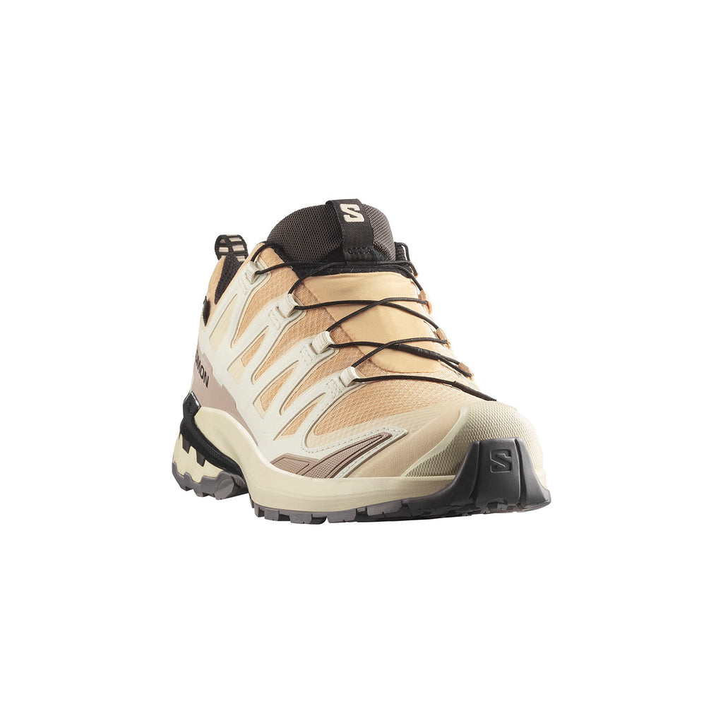 Salomon XA Pro 3D v9 GTX Women's Multifunctional Shoes