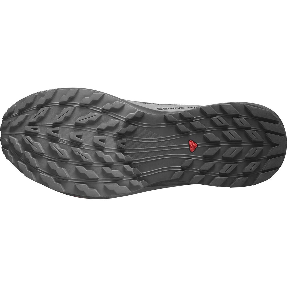 Salomon Sense Ride 5 GTX Men's Trail Running Shoes